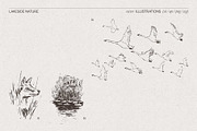 Lakeside Nature Illustrations, an Empty State Illustration by TheMountBirdStudio (Thumbnail 14 of 17)
