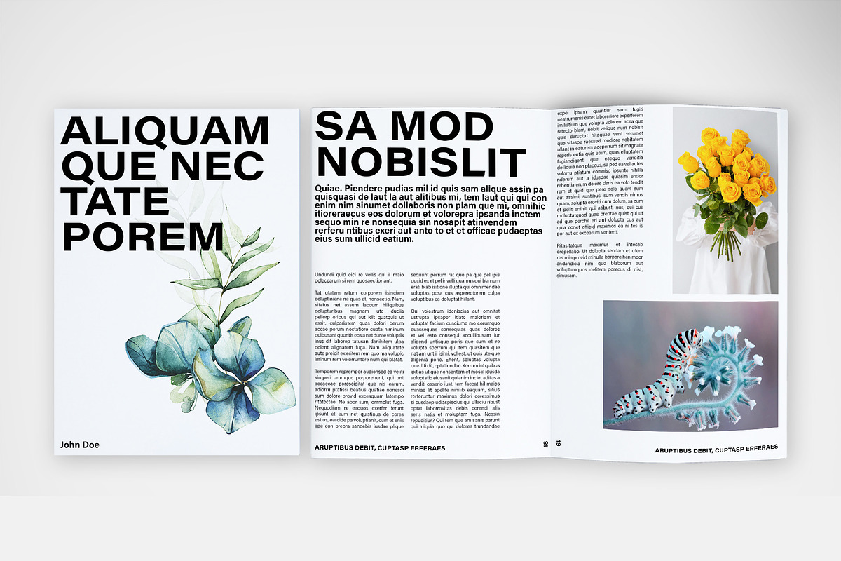 Bold Typography Brochure Template preview 5