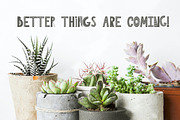 Dreamy Fjord-Scandinavian font, a Font by Astarte_design (Thumbnail 11 of 11)