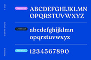 Mangova Font Family, a Serif Font by Digitype Studio (Thumbnail 8 of 10)