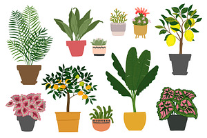 Tropical Plants Vector.