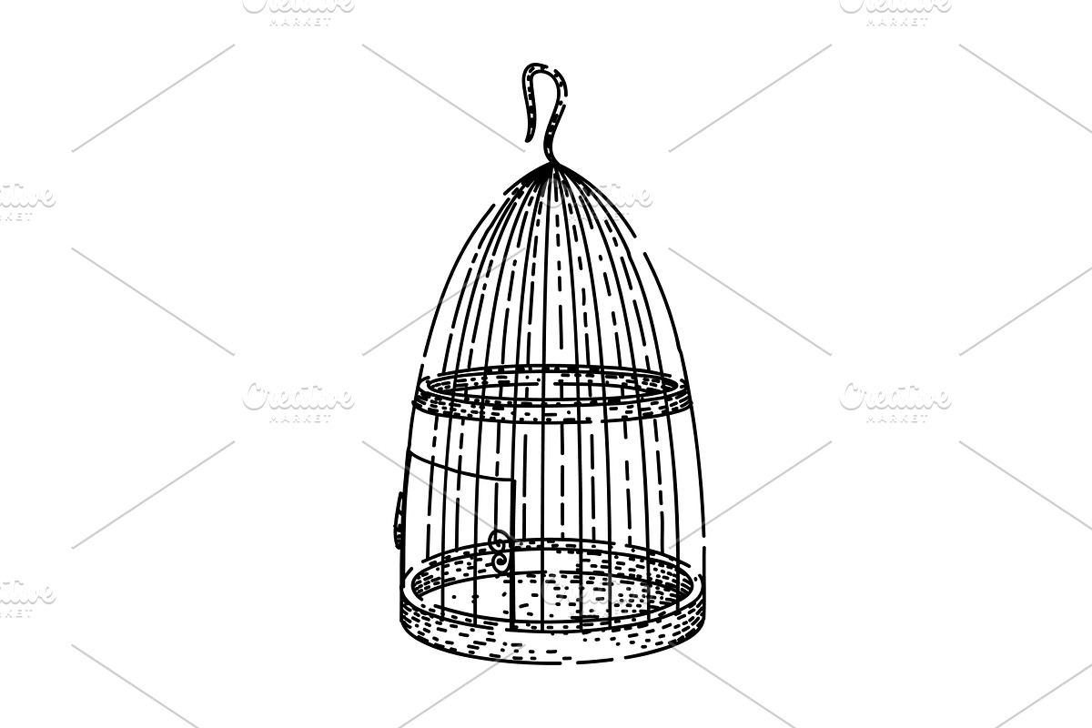 seed birdcage sketch hand drawn, an Illustration by pikepicture