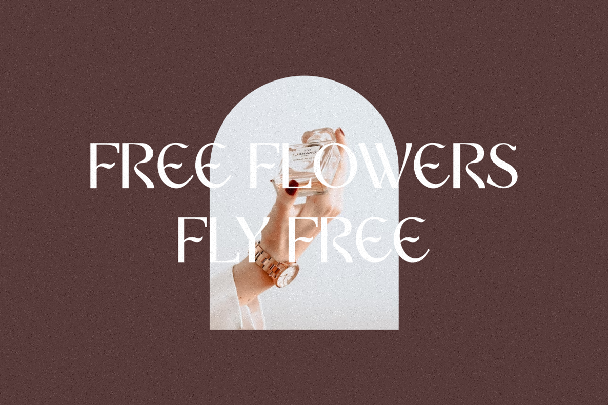 Blancat Mouris Serif, a Serif Font by Typegoals Studio (Photo 3 of 9)