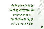 Daintti Swirl Script, a Script Font by Anomali Creatype (Thumbnail 3 of 10)
