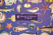 Sirens - Vintage Sea Pack, an Object Graphic by The Ephemera Mercadito (Thumbnail 2 of 4)