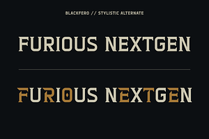 Blackfero Vintage Serif Font