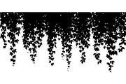 Hanging Vines Silhouette, an Object Graphic by Creativeshirt (Thumbnail 11 of 20)