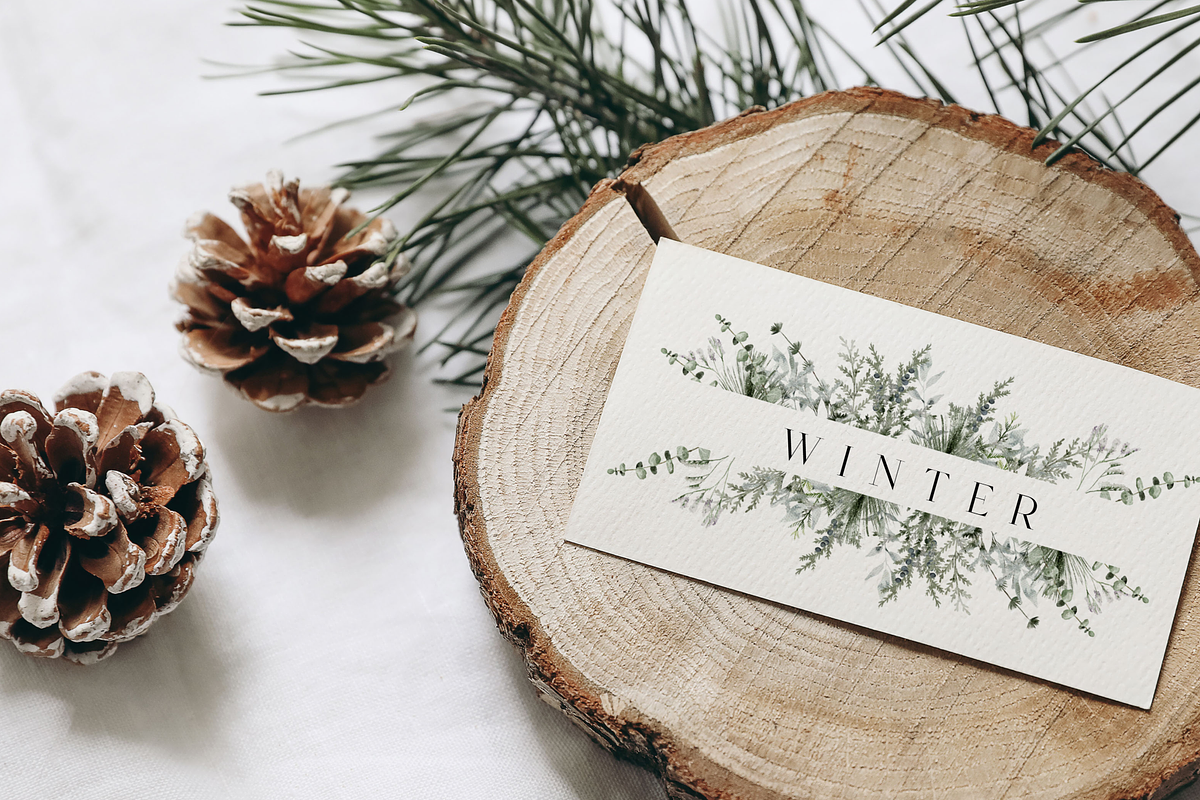 Winter aesthetic - watercolor set, a Seasonal Illustration by Youksy (Photo 6 of 12)