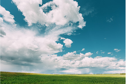 Countryside Rural Wheat Field Meadow, a Nature Photo by Our Amazing World