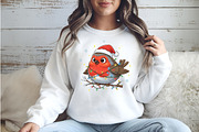 Christmas Robin Bird PNG, an Illustration by Watercolor design (Thumbnail 5 of 6)