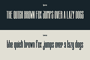 Chuko Font, a Sans Serif Font by Oui Studio (Thumbnail 5 of 12)