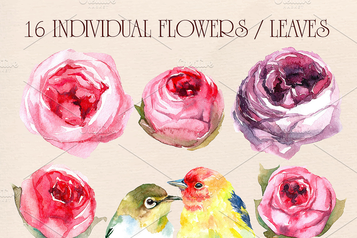 watercolor set Peony-pink rose, a Texture Graphic by Antikva17 (Photo 3 of 5)