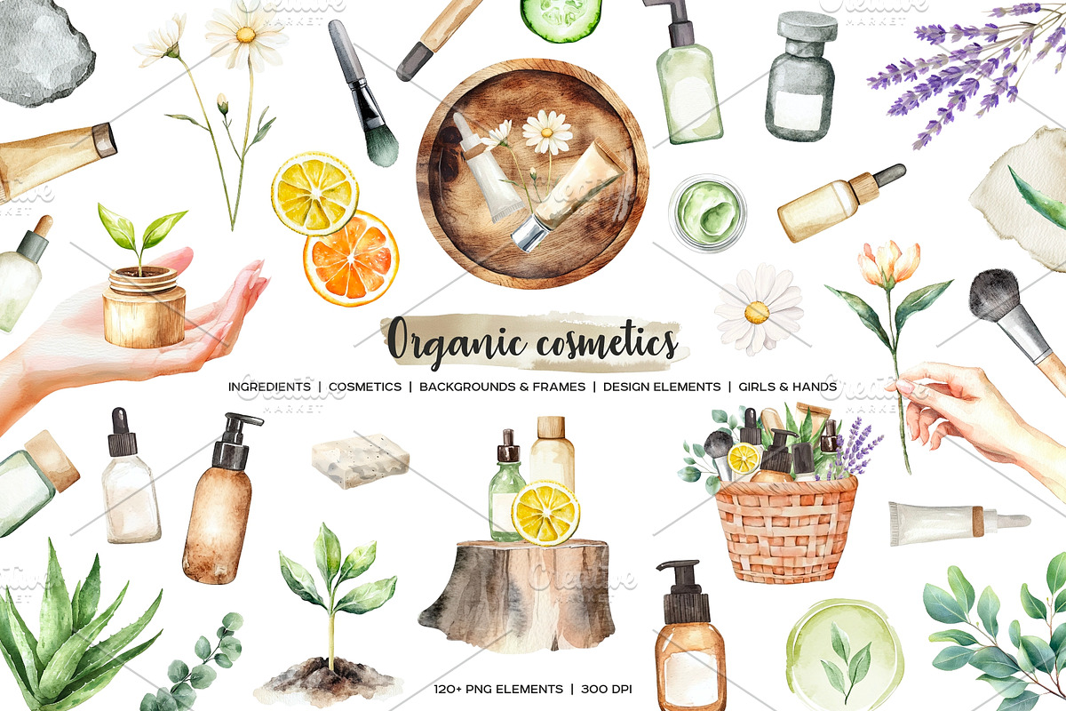 Watercolor organic cosmetic clipart, a Healthcare Illustration by Art and Funny (Photo 1 of 14)