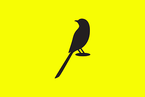 beauty blackbird nature logo, a Branding & Logo Template by devastd