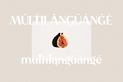 Tangelo - Retro Serif, a Serif Font by Sans & Sons (Thumbnail 9 of 10)