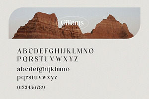 Giliams - Modern Ligature Serif