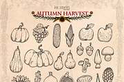 Autumn Harvest, a Seasonal Illustration by Ink Stories (Thumbnail 4 of 26)