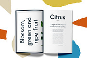 Paper Orange Font Family, a Sans Serif Font by Emma Make (Thumbnail 3 of 6)