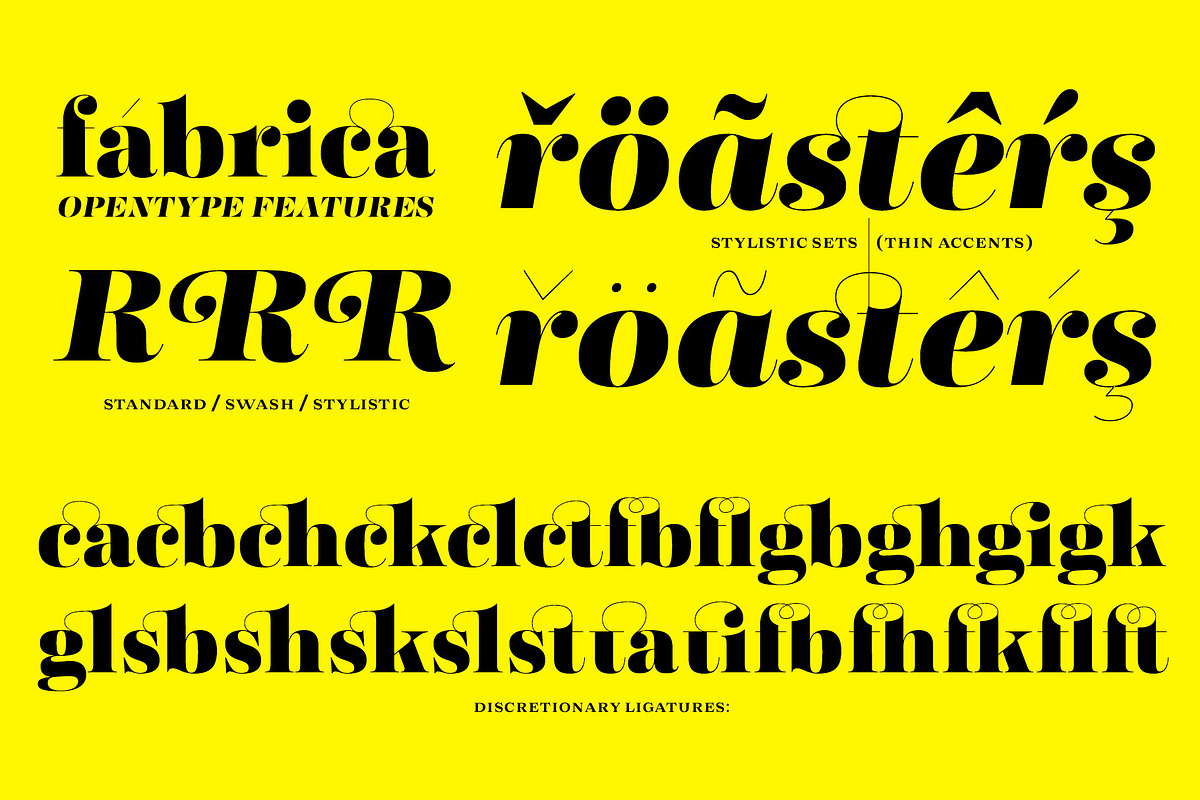 Fabrica - Decorative Serif preview 6