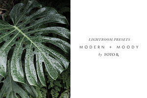 Modern + Moody Lightroom Presets