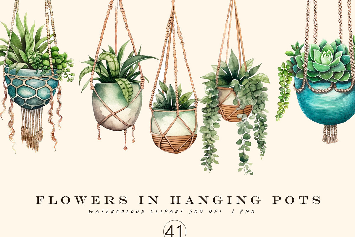 Flowers in hanging pots clipart, a Decorative Illustration by Hello My Print (Photo 1 of 10)