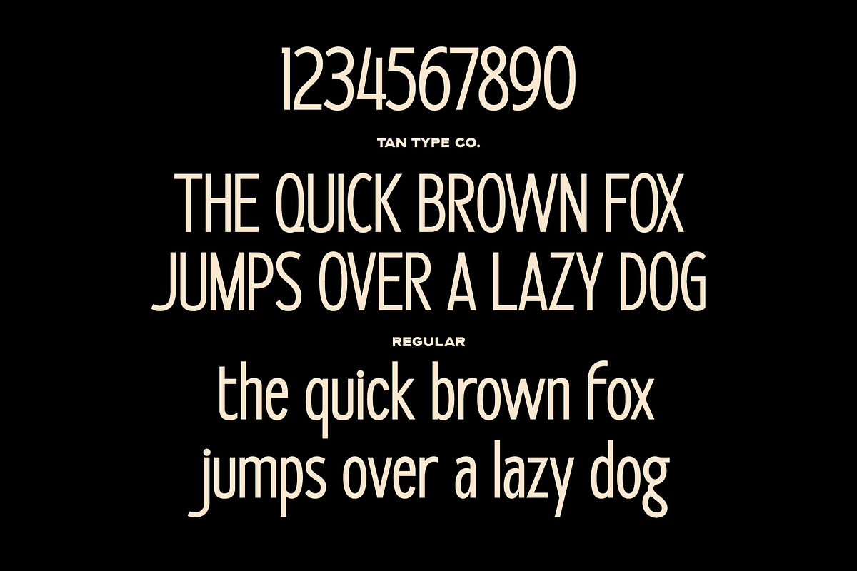 TAN - BOROUGHS, a Serif Font by TanType (Photo 10 of 10)