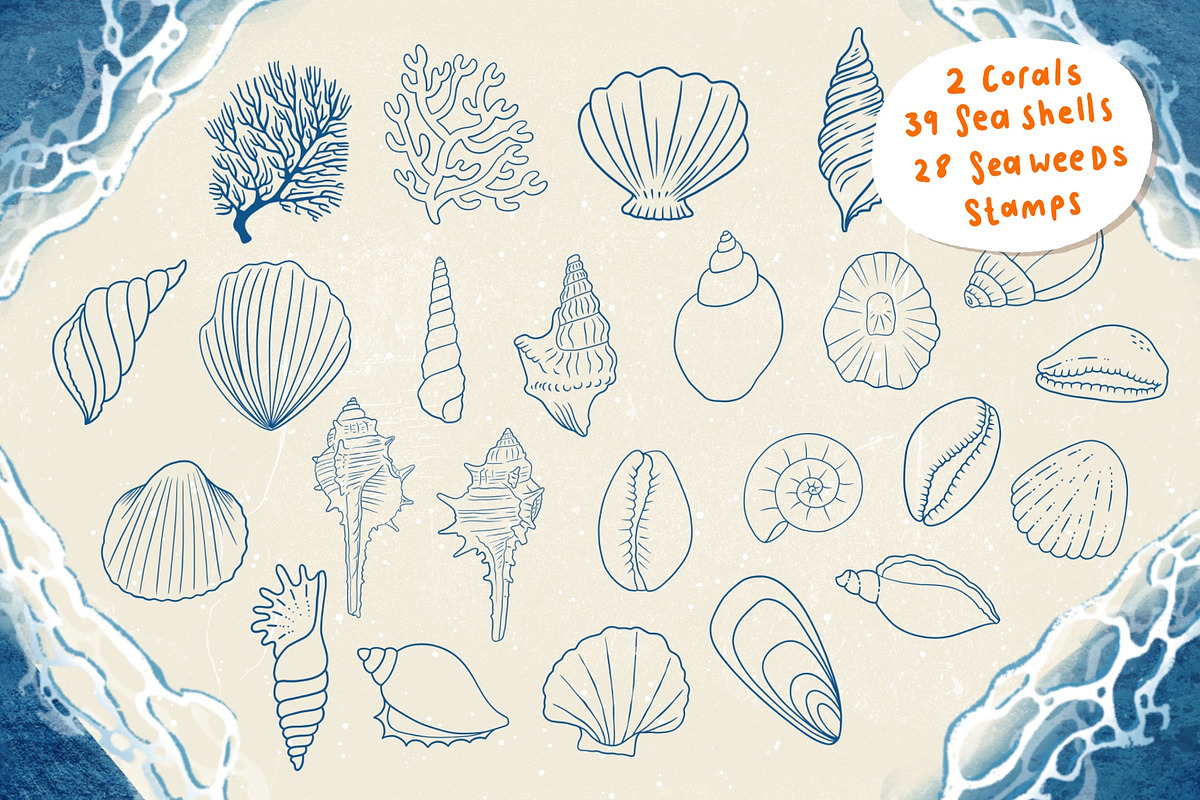 Seashells + Driftwood Procreate Set, a Brush Add-On by PrettyLittlePigs (Photo 4 of 10)