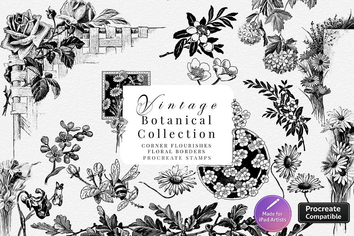 Procreate Botanical Collection, a Brush Add-On by AW Studios (Photo 1 of 6)