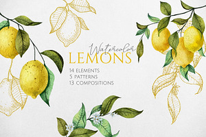 Lemons. Watercolor Collection