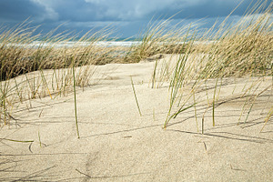 iseeyouphoto cornwall sand dunes