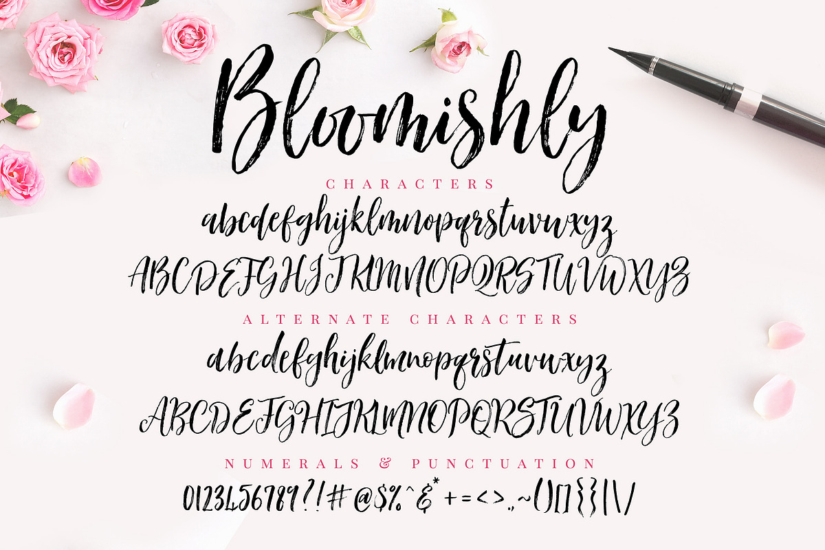 Bloomishly Brush Font, a Script Font by Nicky Laatz (Photo 11 of 11)