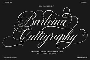 Barleina Calligraphy, a Script Font by IM Studio
