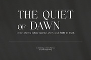 Reign – Display Serif Font, a Font by Almeera Std (Thumbnail 7 of 8)