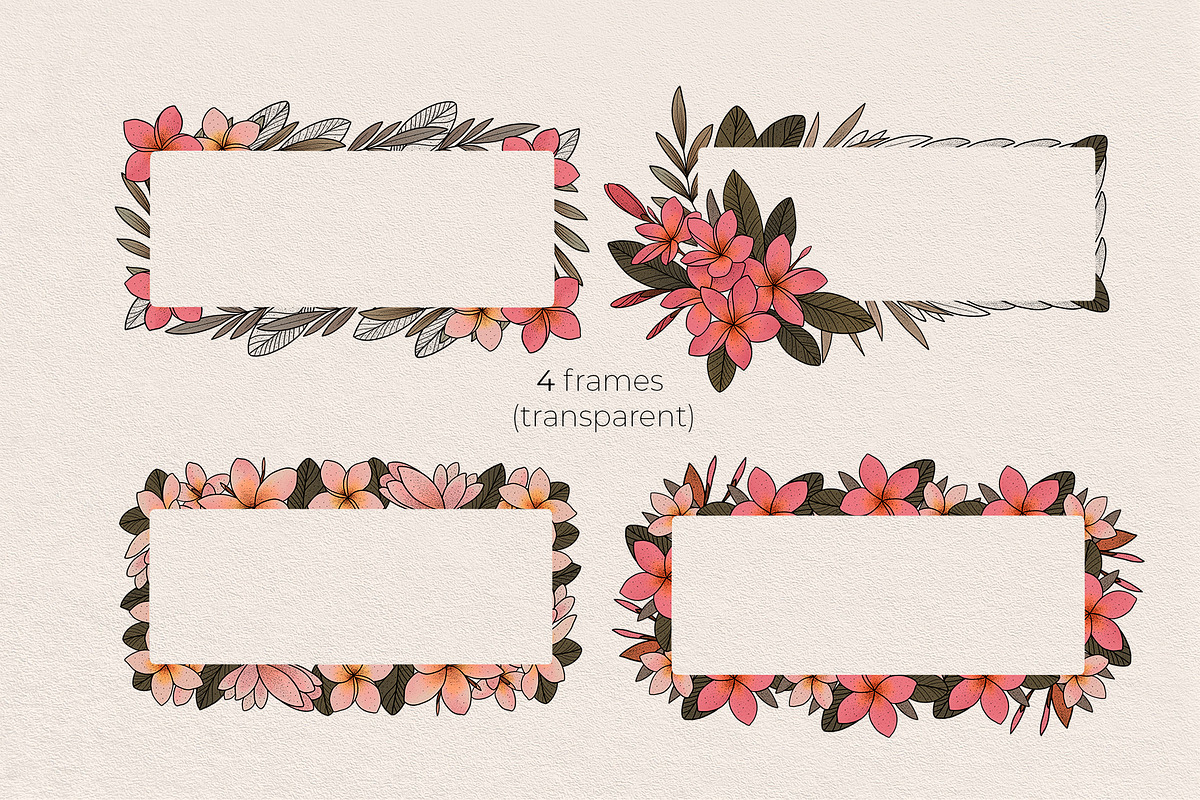 Illustration set Plumeria, an Illustration by Maria Summer (Photo 12 of 13)
