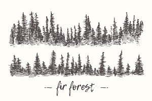 Two illustrations of a fir forest, an Illustration by TheMountBirdStudio