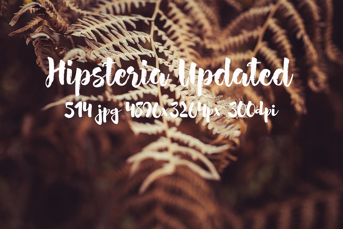 Hipsteria photo pack, a Templates & Theme by ApertureVintage (Photo 19 of 48)