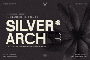 Silver Archer - An 18-Font Chic Sans