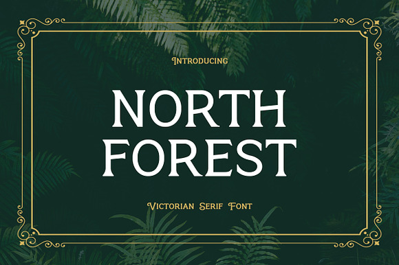 North Forest Vintage Serif Font preview 7