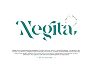 Negita Serif Font, a Serif Font by Idea Studio (Thumbnail 1 of 12)