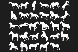 Horse Silhouettes Set 1 Procreate