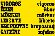 Gravebone, a Slab Serif Font by deadlock studio (Thumbnail 8 of 9)