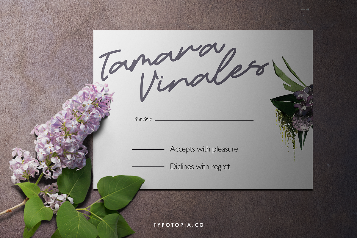 Candelia Script Font, a Script Font by edukka (Photo 4 of 8)