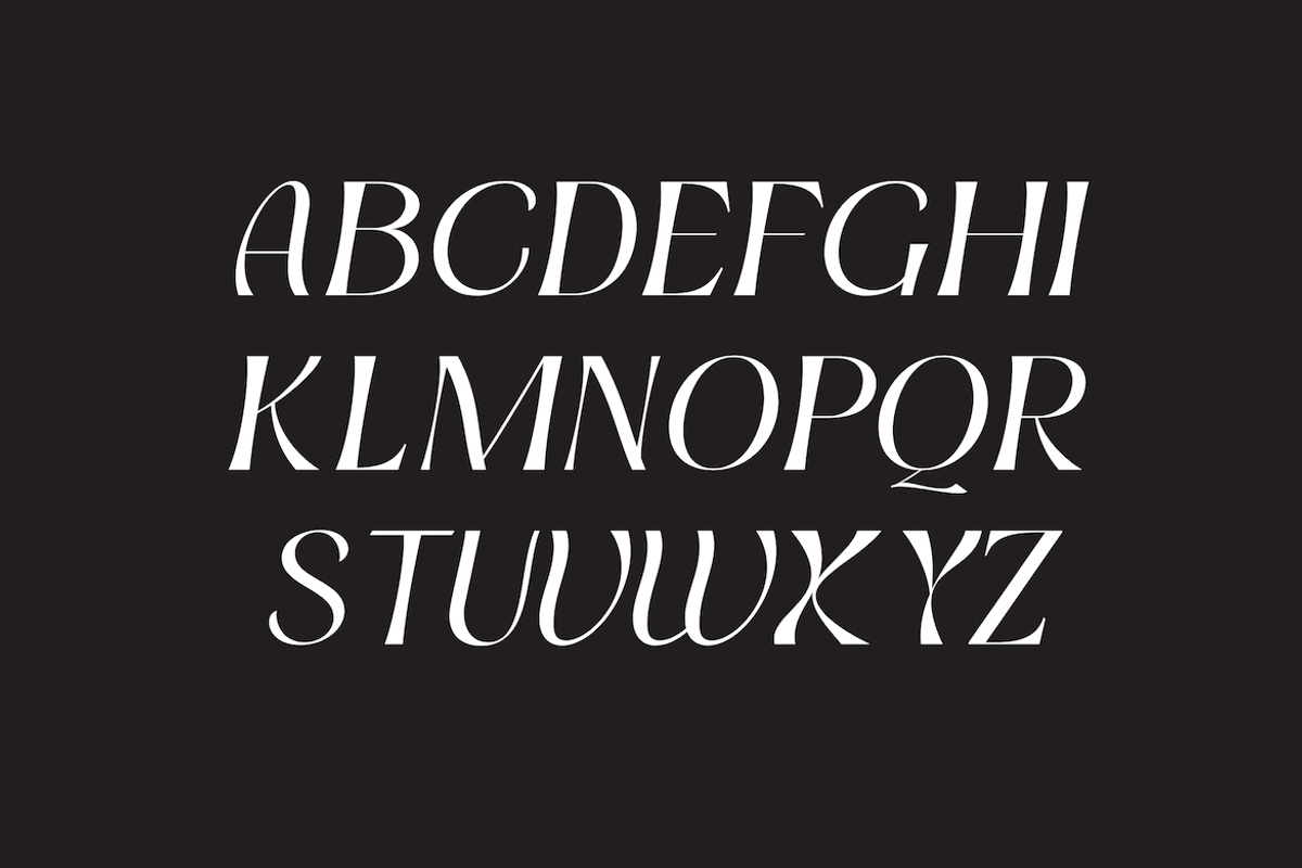 Ectogenic, a Serif Font by CreateBigSupply (Photo 4 of 8)