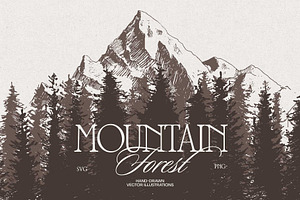 Mountain Slope With Fir Forest