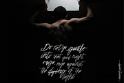 Katastrophe Font + Bonus, a Script Font by Flycatcher Design (Thumbnail 3 of 8)