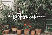 The Trendy Font BUNDLE, a Script Font by KA Designs (Thumbnail 78 of 86)