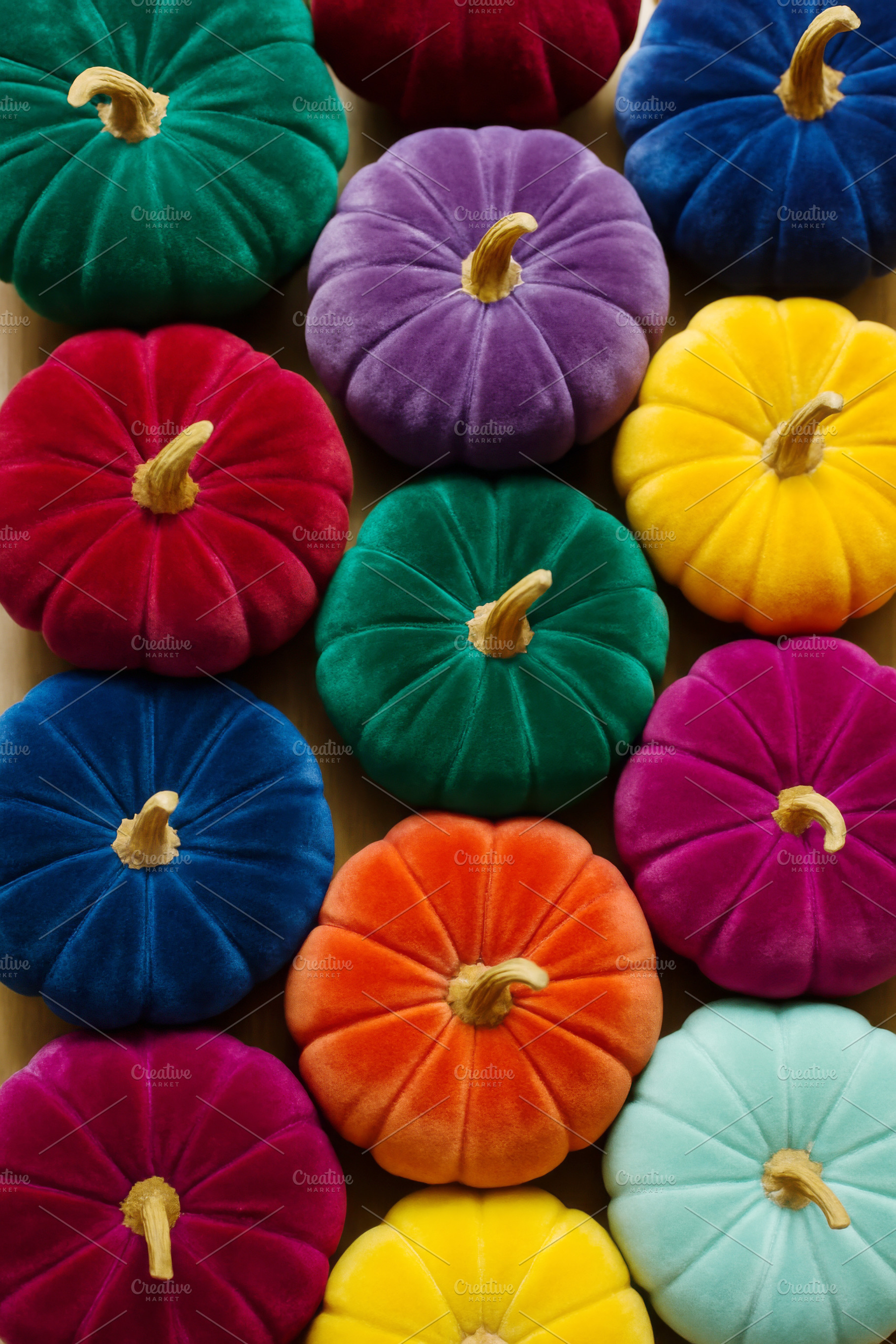 Colorful pumpkins in various shades, a Photo by Dvoevnore photos