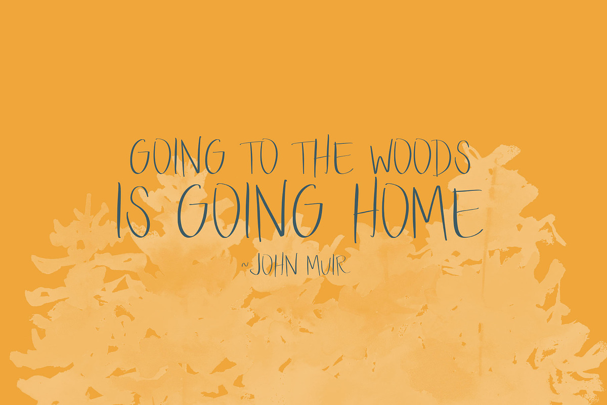 Walk in the Woods Open Type SVG, a Handwritten Font by Jodi Van der Kruik (Photo 4 of 5)
