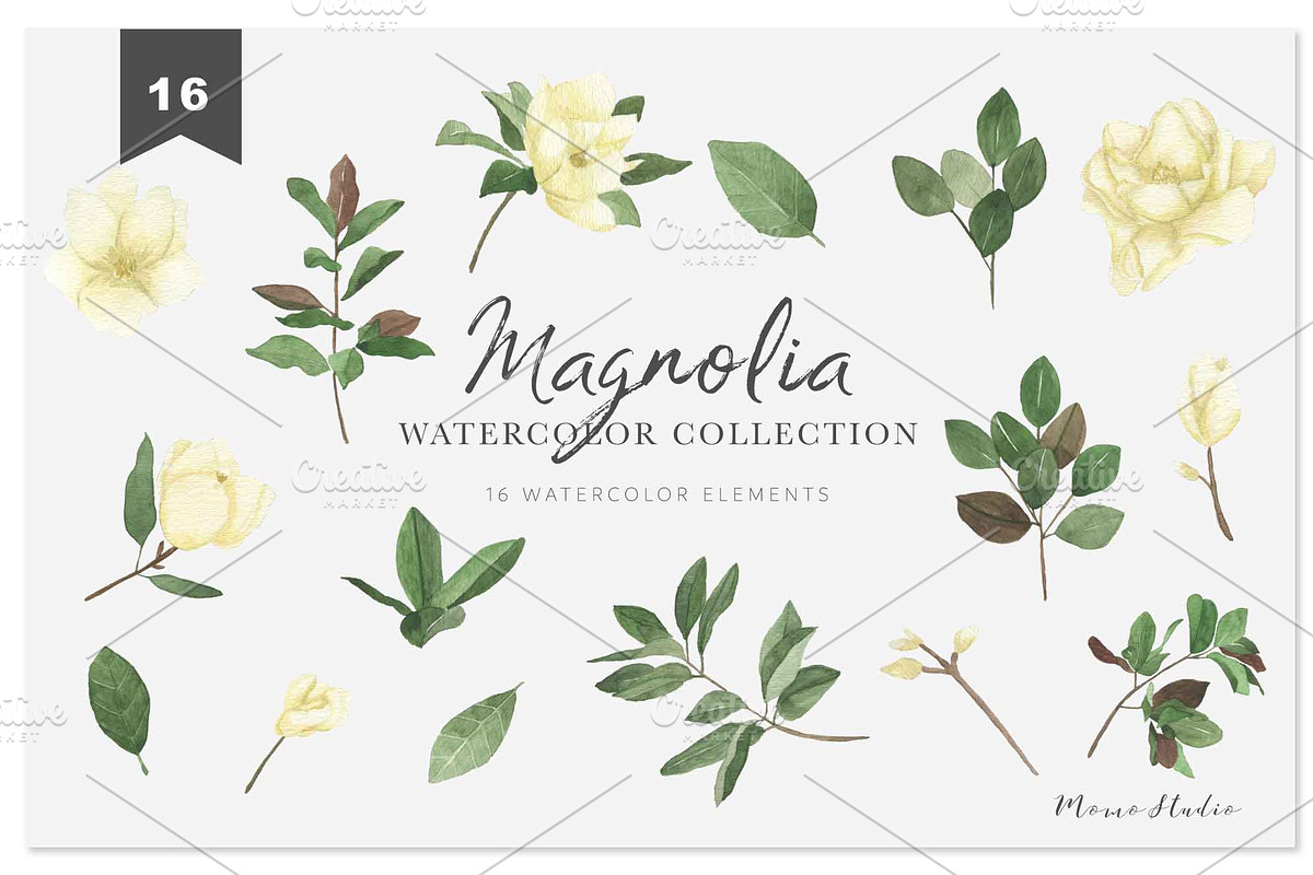 MAGNOLIA - Watercolor & Line Art, a Texture Illustration by Momo Studio (Photo 7 of 14)