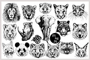 Animal Faces, an Animal Illustration by Ecaterina Sciuchina (Thumbnail 2 of 7)